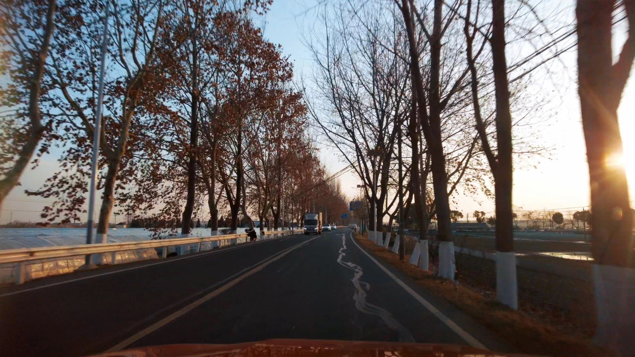 S123 小路上,左边是大棚,右边是鱼塘